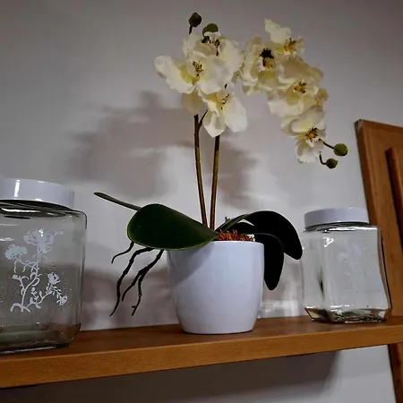 דירה Cherry House *