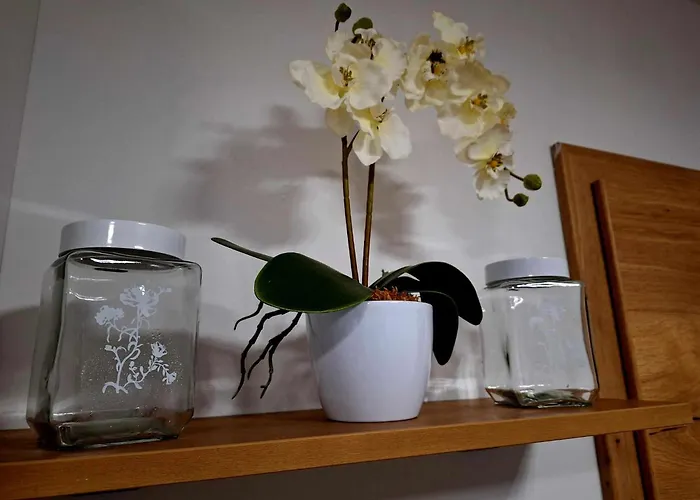 Apartamento Cherry House *